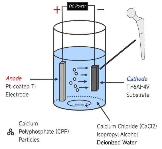 Schematic of CPP electrodeposition using a platinum-coated titanium anode and a Ti-6Al-4V cathode in a stirred calcium chloride, isopropyl alcohol, and deionized water suspension.